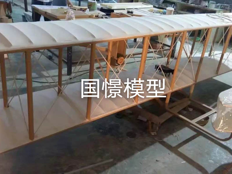 磐安县飞机模型