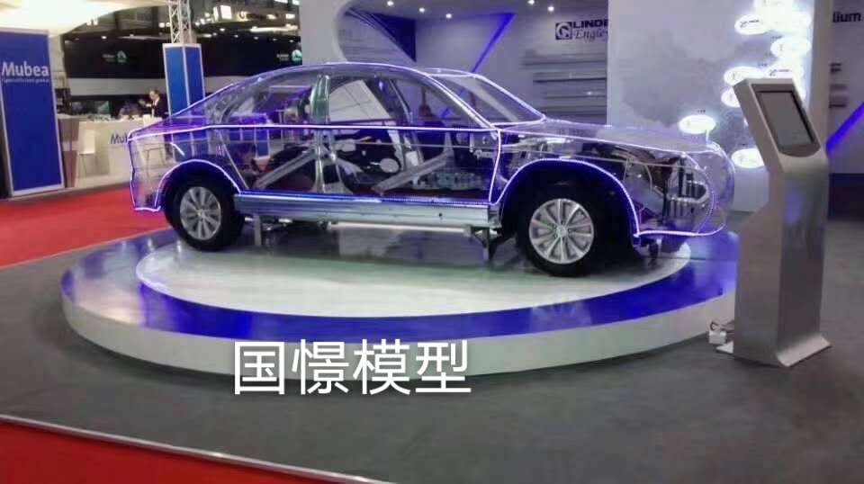磐安县透明车模型